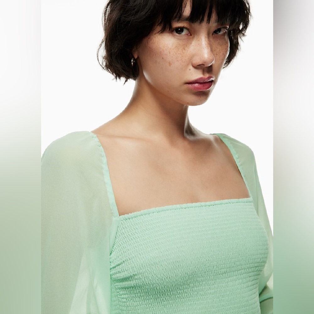 New Aritzia Wilfred Tempest Mini Dress Smocked chiffon mini dress - Picture 3 of 13